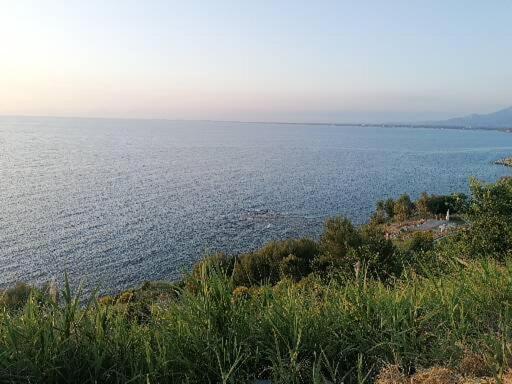 I Baronetti In Centro Bed & Breakfast Agropoli Dış mekan fotoğraf